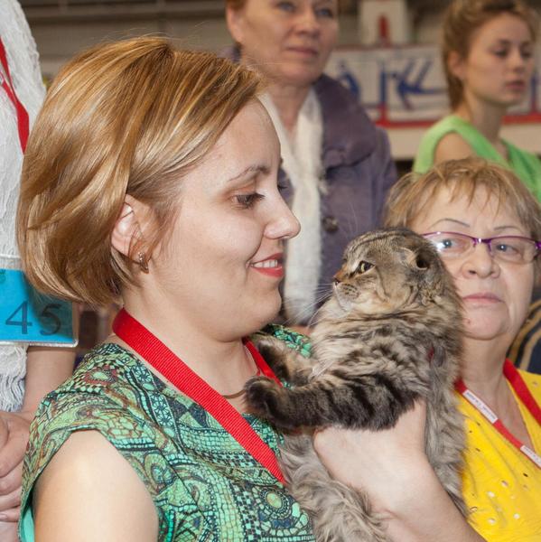 post-58493-0-07248900-1430144212_thumb.j