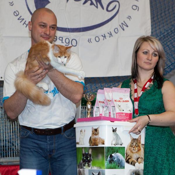 post-58493-0-20700700-1430144265_thumb.j