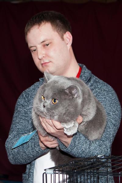 post-58493-0-35584500-1430143906_thumb.j