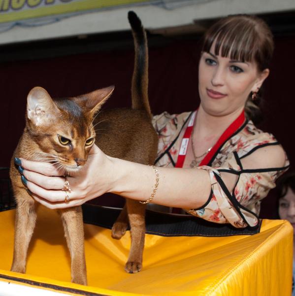 post-58493-0-45257300-1430143927_thumb.j