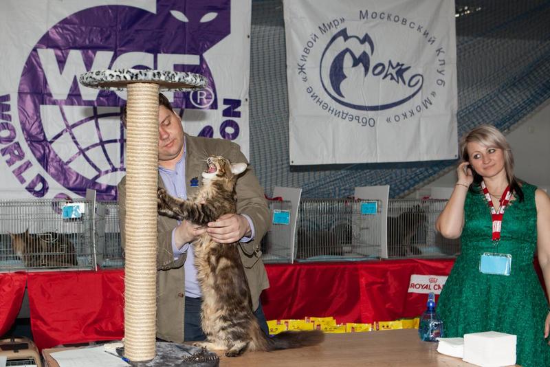 post-58493-0-54190300-1430144192_thumb.j