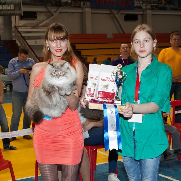 post-58493-0-64936600-1430144289_thumb.j