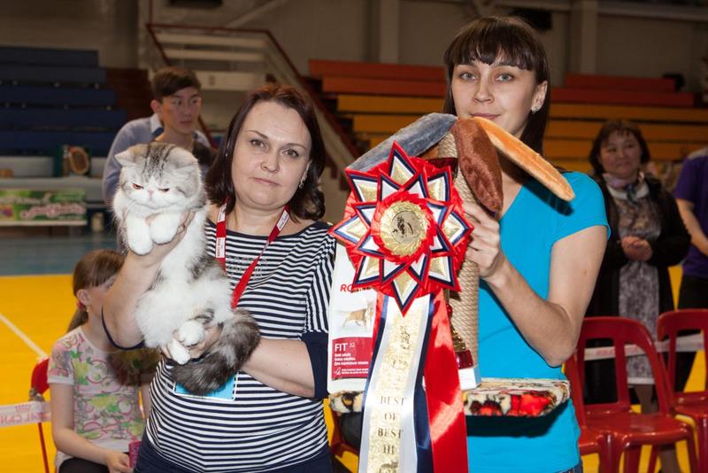 post-58493-0-69983500-1430144338_thumb.j