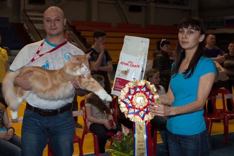 post-58493-0-79178900-1430144379_thumb.j