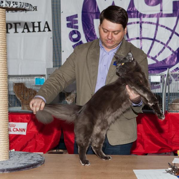 post-58493-0-80887000-1430144172_thumb.j