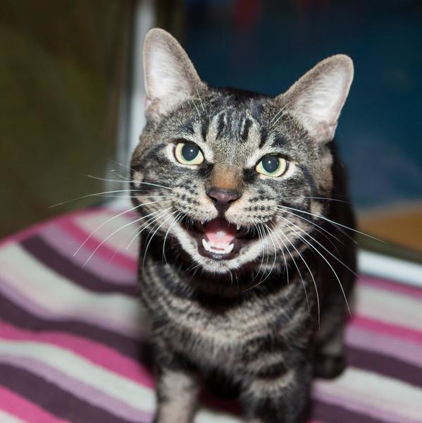 post-58493-0-94030400-1430144141_thumb.j