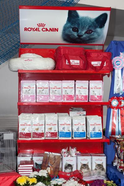 post-58493-0-97033200-1430143835_thumb.j