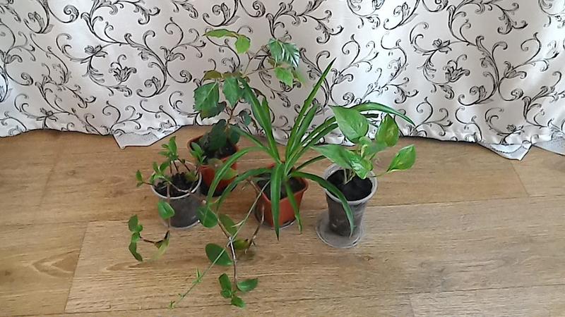 post-76197-0-23035800-1428028689_thumb.j