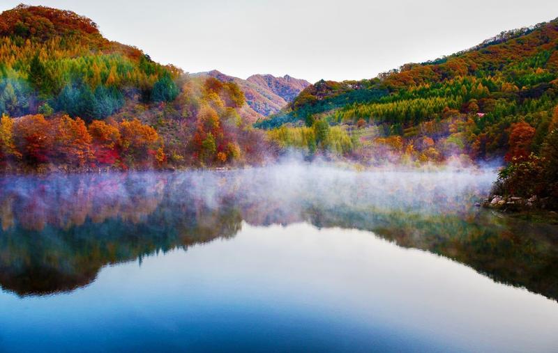 post-85233-0-55630900-1429256763_thumb.j