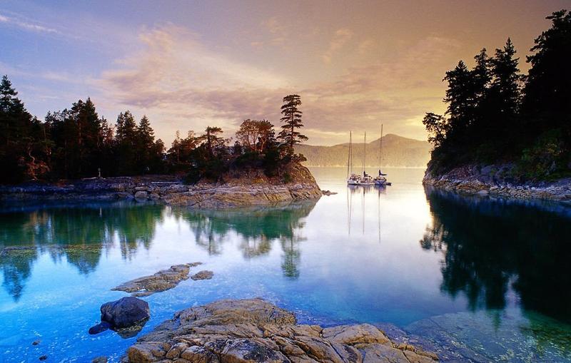 post-85233-0-81031000-1429256762_thumb.j