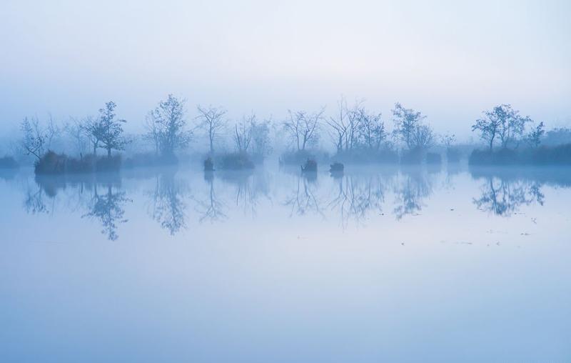 post-85233-0-86642300-1429256798_thumb.j