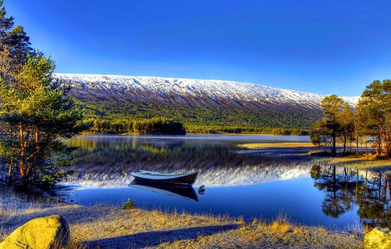 post-85233-0-93765900-1429256795_thumb.j