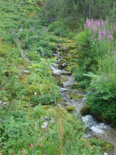 post-14497-0-00032200-1432982203_thumb.j