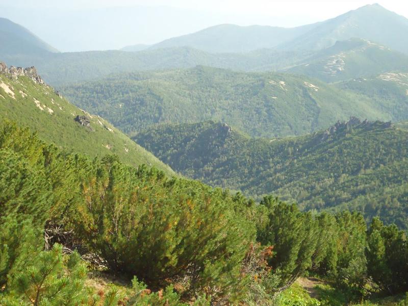 post-14497-0-68134600-1432981915_thumb.j