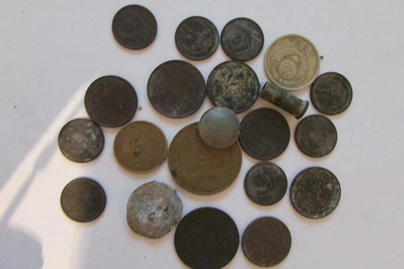 post-35696-0-04615300-1431607474_thumb.j