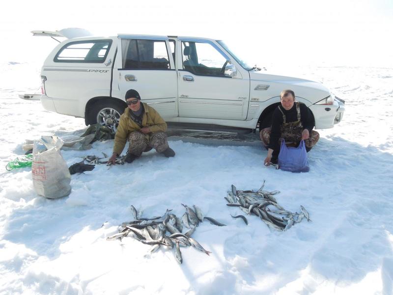 post-52369-0-97898100-1430741402_thumb.j