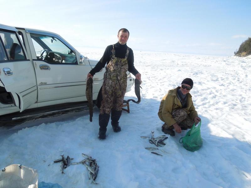 post-52369-0-99773900-1430741480_thumb.j