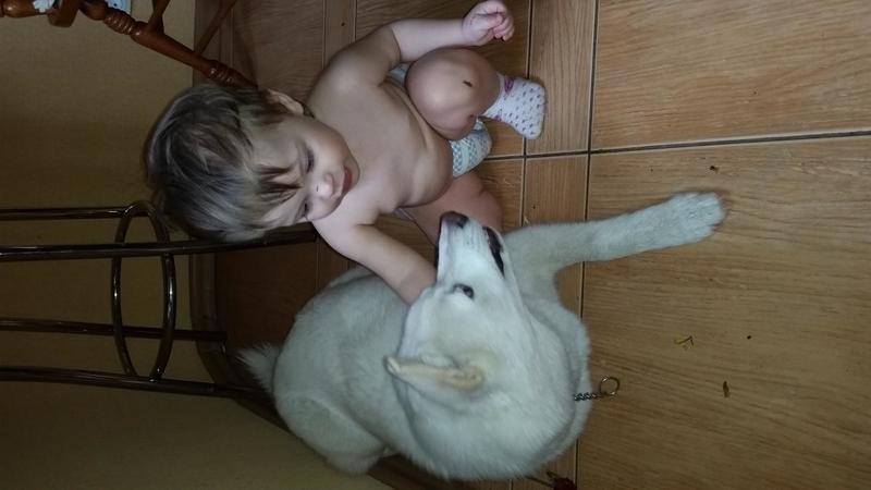 post-86119-0-02238500-1432523802_thumb.j