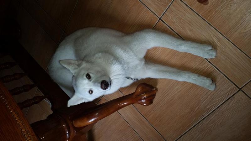 post-86119-0-37935000-1432523767_thumb.j