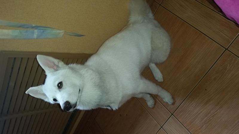 post-86119-0-70887000-1432523741_thumb.j