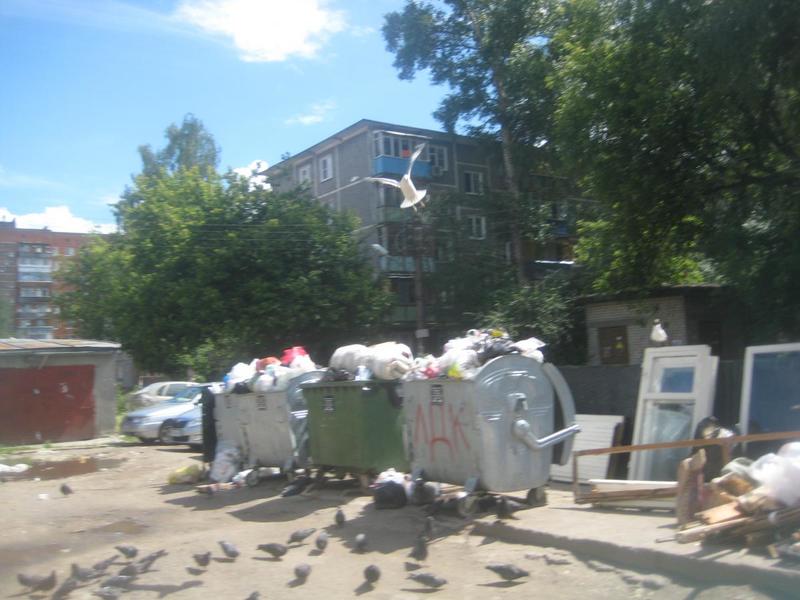 post-1710-0-03860600-1403864374_thumb.jp