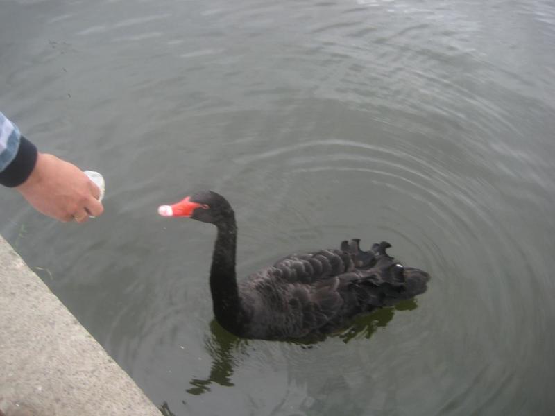 post-1710-0-70082000-1403803111_thumb.jp