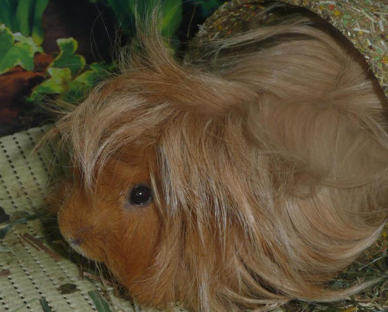 post-18204-0-90158300-1403085313_thumb.j