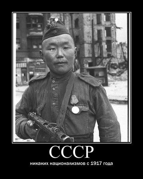 post-1905-0-22063100-1403272705_thumb.jp