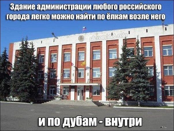 post-1905-0-50422200-1403272526_thumb.jp