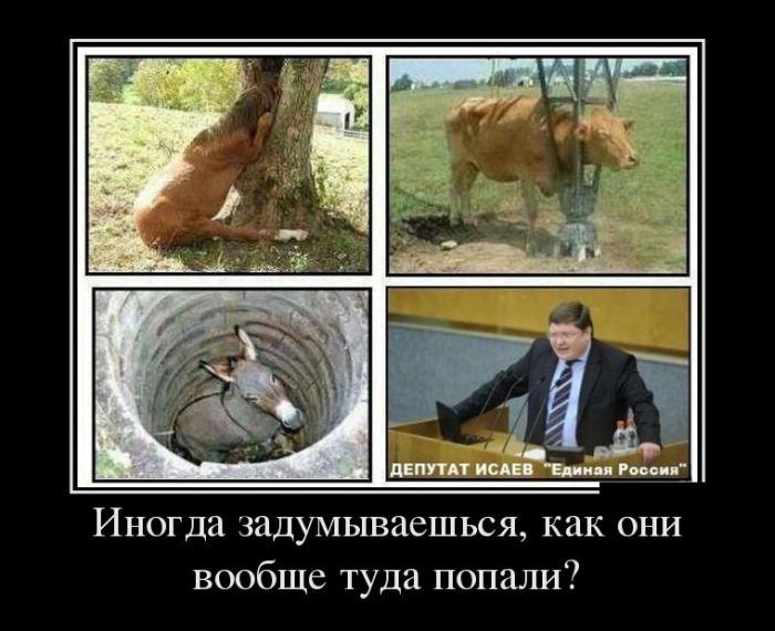 post-1905-0-85984000-1403271838_thumb.jp