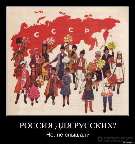 post-1905-0-97497300-1403272602_thumb.jp