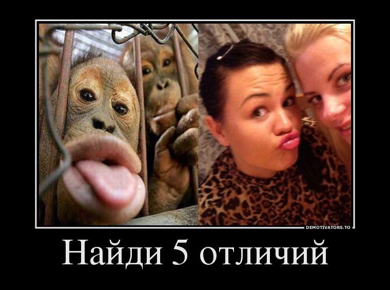 post-1905-0-98618100-1403272349_thumb.jp