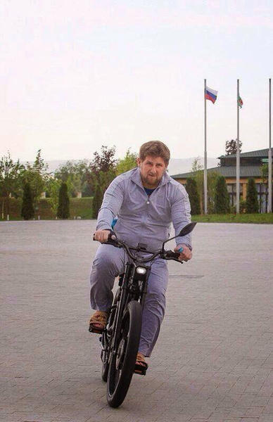 post-2726-0-85093400-1402730805_thumb.jp