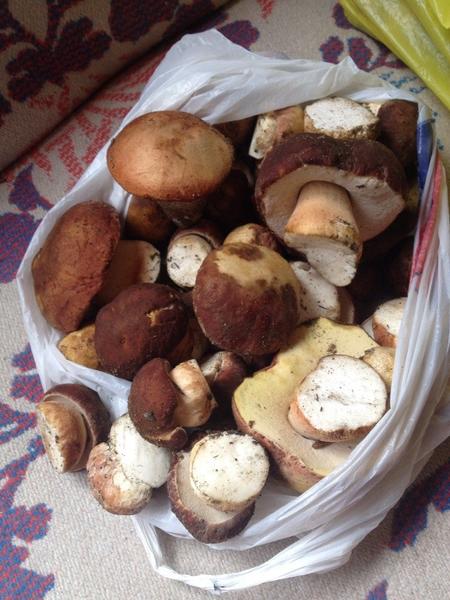 post-3025-0-24212200-1403417402_thumb.jp