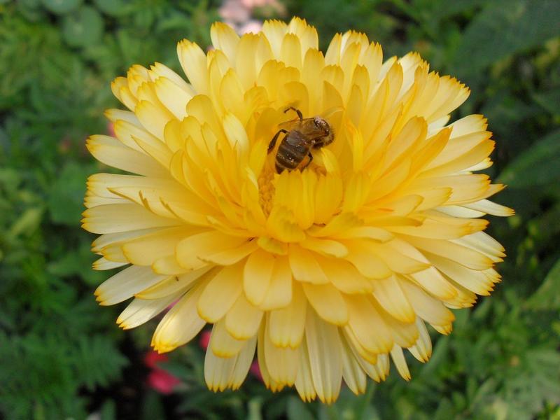 post-31597-0-67753900-1403888078_thumb.j