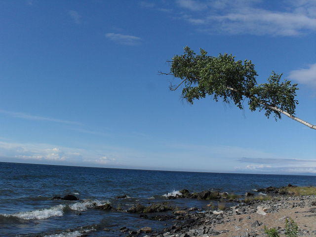 post-31597-0-72901800-1402990188_thumb.j