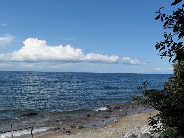 post-31597-0-83129700-1402990103_thumb.j