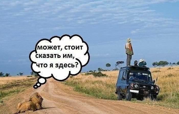 post-48932-0-94537500-1402577663_thumb.j