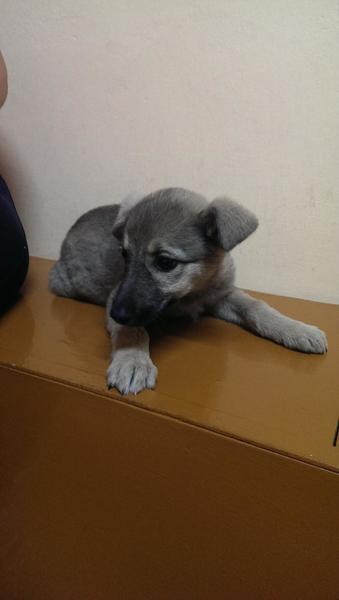 post-53479-0-62502400-1404053070_thumb.j