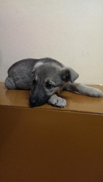 post-53479-0-69716100-1404053095_thumb.j