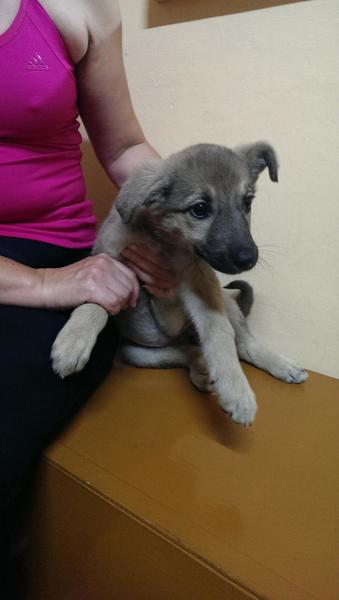 post-53479-0-75628000-1404053053_thumb.j