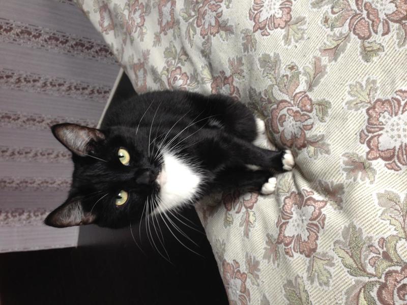 post-59747-0-77563600-1402111591_thumb.j