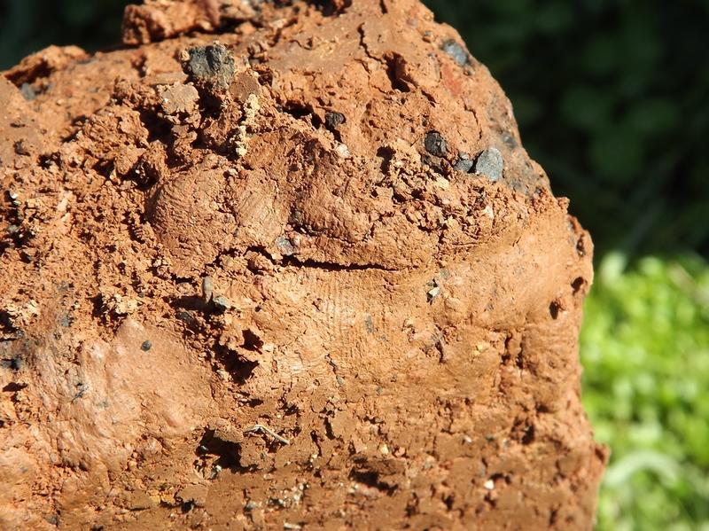 post-61369-0-39023400-1403018426_thumb.j