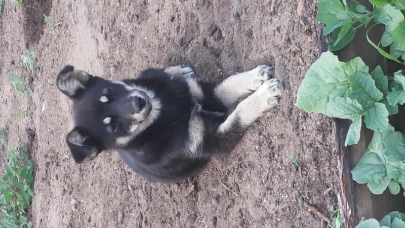 post-67886-0-85574300-1403700444_thumb.j