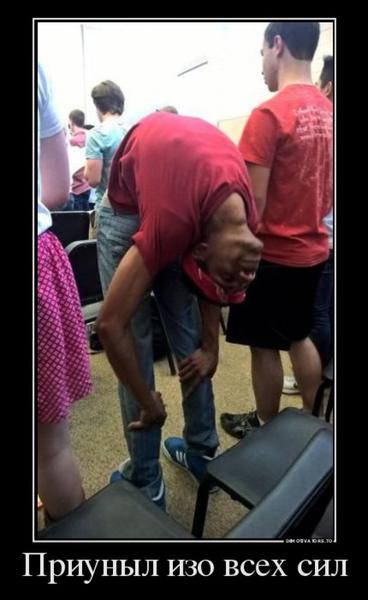 post-50676-0-92251600-1434819314_thumb.j