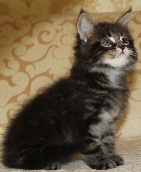 post-54398-0-10084100-1435557161_thumb.j