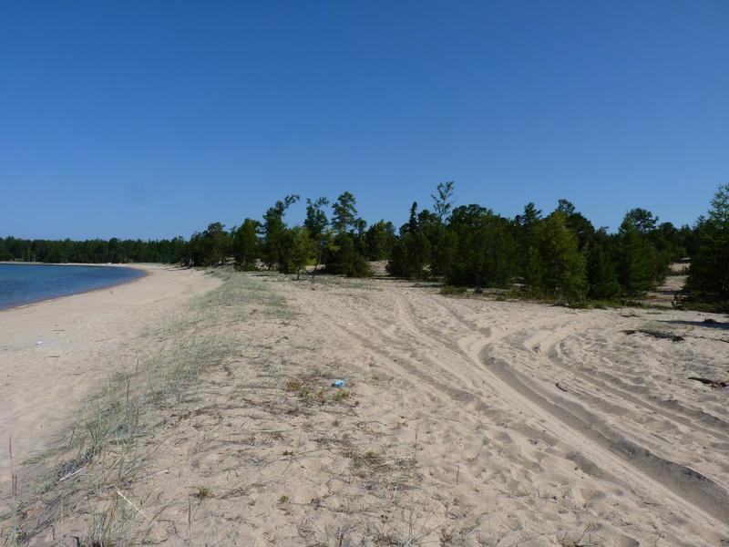 post-21304-0-62090000-1406784683_thumb.j