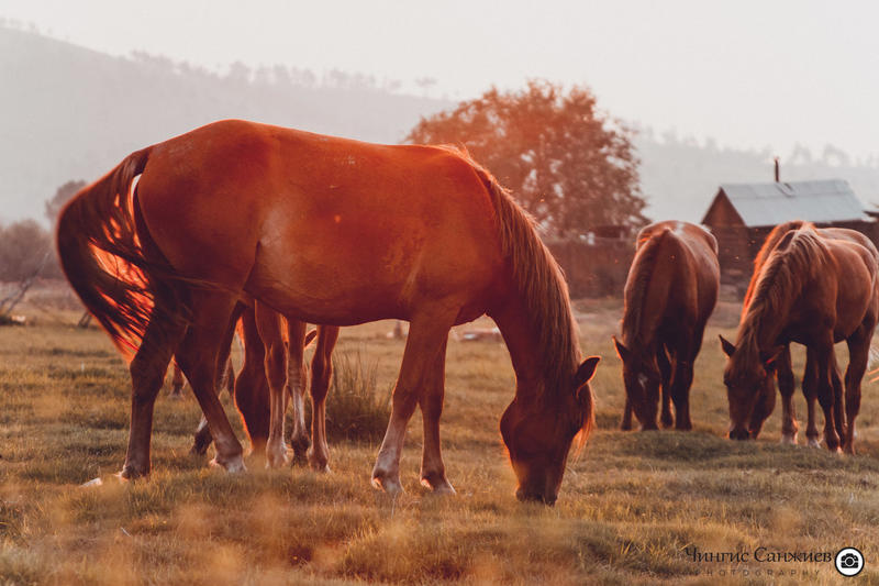 post-29807-0-63183300-1406697430_thumb.j