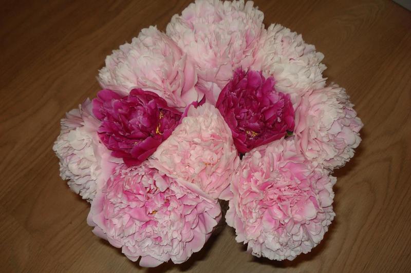 post-36293-0-94949300-1404191506_thumb.j