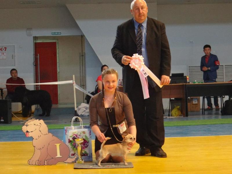 post-43493-0-56828000-1404226463_thumb.j